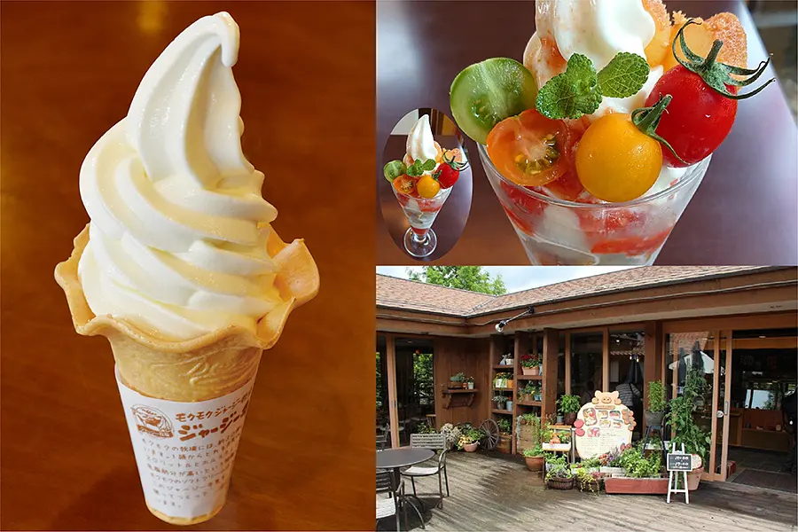 三重県で食べたいソフトクリーム15選🍦三重県の地元牛乳や特産品を使ったご当地ソフトクリームなどを紹介します！ | 取材レポート |  観光三重(かんこうみえ)